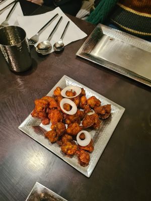 gobi 65  at Annavilaas - Utrecht in Utrecht