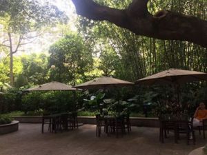 garden at Bingsheng Zen Tea House in Guangzhou