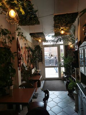  at Palmyra in Gottingen