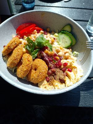 Vegan falafel bowl 9,90 Euro 21.08.25 at Palmyra in Gottingen