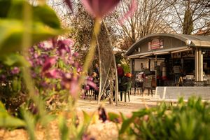 Ambiance cosy estivale assurée en service continue toute la journée !
A cozy summer atmosphere guaranteed with continuous service all day long! at Le Square in Avignon