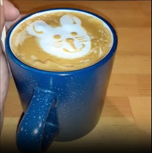  at Backstage in Osaka