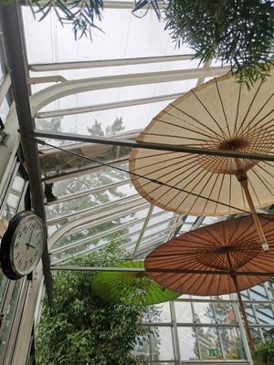  at Das Café In Der Gartenakademie in Berlin