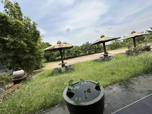   at Hela Bojun Hala in Polonnaruwa