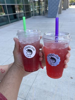   at Chameleon Cafe in Akron