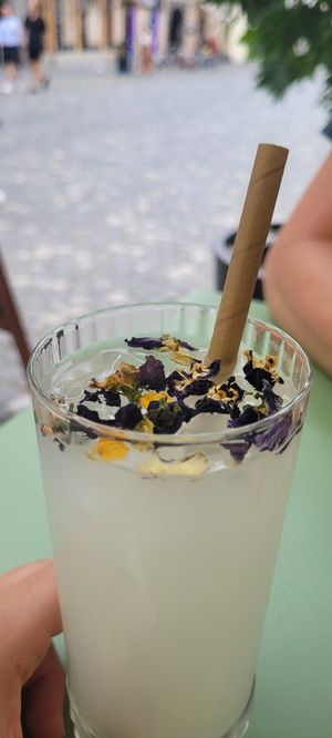  at Barbarella PLANT Bistro in Ljubljana