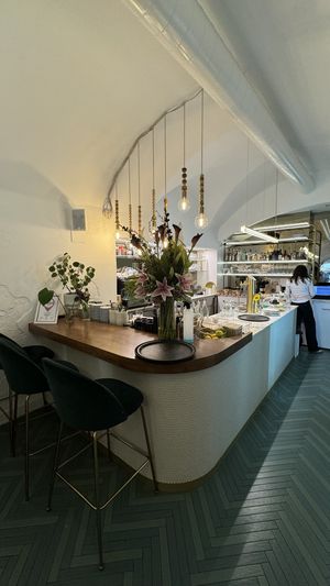 Barra  at Barbarella PLANT Bistro in Ljubljana