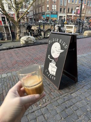   at Blackbird  in Utrecht