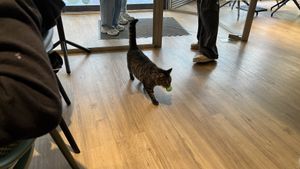   at Katzentempel - Trier  in Trier