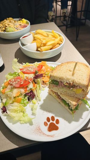   at Katzentempel - Trier  in Trier