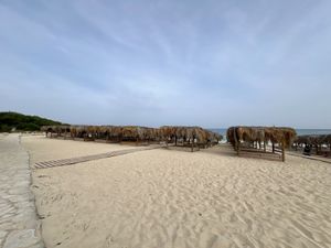 The huts  at Levels Beach Bar in Ayia Napa