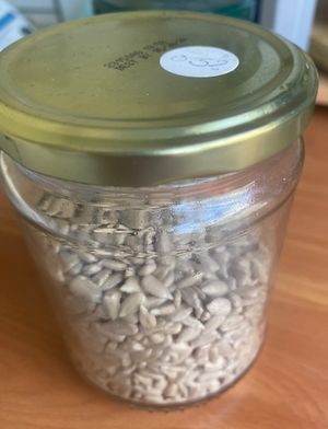 Reused jar with weight containing on sticker sunflower seeds bought here   at La Petite Épicerie Nyc in New York City