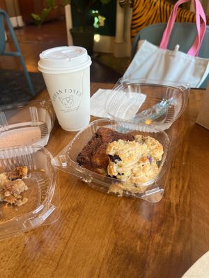   at Urban Foxes in Jackson