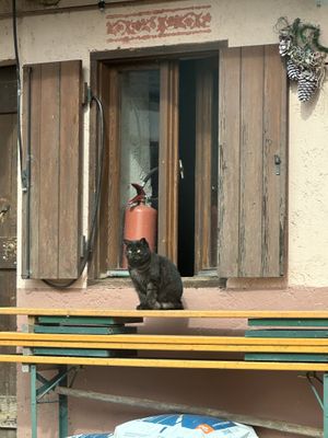 Esterno  at Rifugio Petina in Tonadico