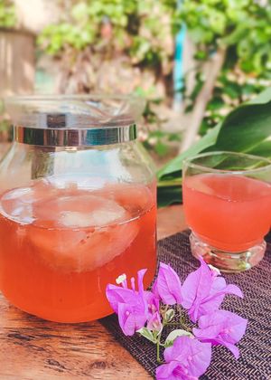 KOMBUCHA JAMAICA at Chivos Veggie in Palomino