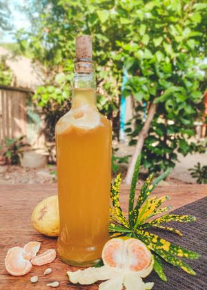 KOMBUCHA MANDARINA at Chivos Veggie in Palomino