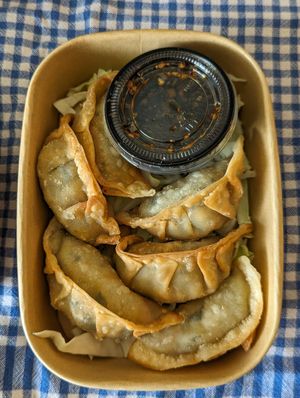 Fried Dumplings at Chuang Yi Bentos (CY Bentos) in St Louis