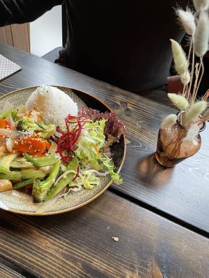 M5  at House of Vegan in Leipzig