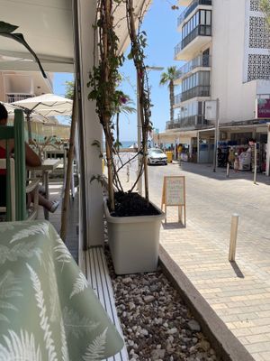   at Santé in Mallorca