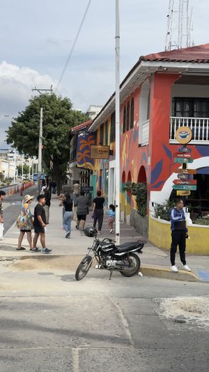   at Vívolo Café in Santa Marta
