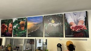   at Vívolo Café in Santa Marta