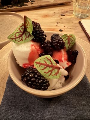   at Campfire in Carlsbad