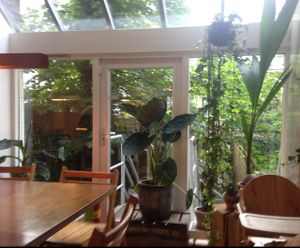 The garden view at SLA - Ceintuurbaan in Amsterdam