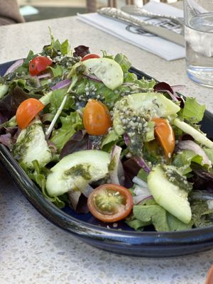   at Nova Terra Kitchen & Creamery in Sebastopol