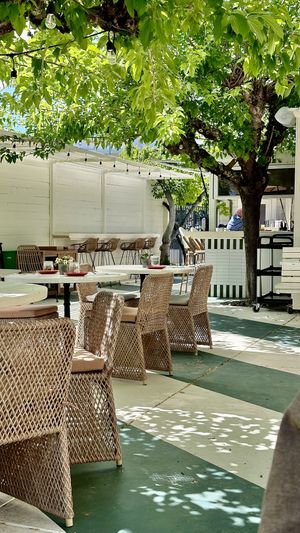   at Nova Terra Kitchen & Creamery in Sebastopol