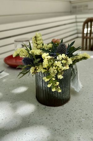   at Nova Terra Kitchen & Creamery in Sebastopol