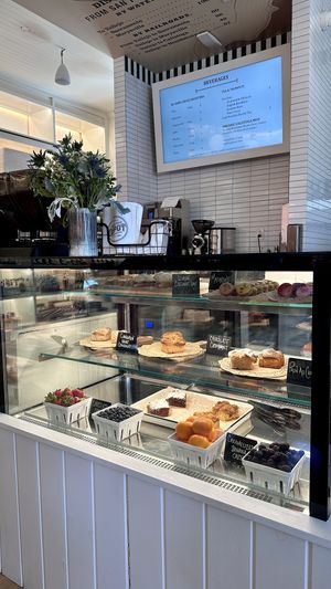   at Nova Terra Kitchen & Creamery in Sebastopol