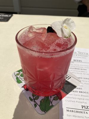 Beautiful cocktails  at Nova Terra Kitchen & Creamery in Sebastopol