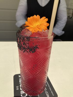   at Nova Terra Kitchen & Creamery in Sebastopol