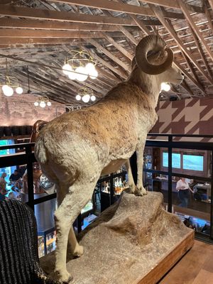 upstairs dining room   at Nova Terra Kitchen & Creamery in Sebastopol