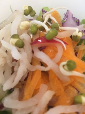 A fresh salad goes with the daily set meal. Wonderful! at Makro Vega in Split