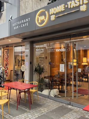 Lovely restaurant dog Jumi is welcoming quests.  at Home Taste Jia in Kiel