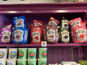 Wiley Wallaby Vegan Licorice at Sticky Fingers  in Grand Rapids