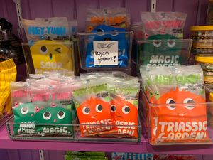Vegan Gummies at Sticky Fingers  in Grand Rapids