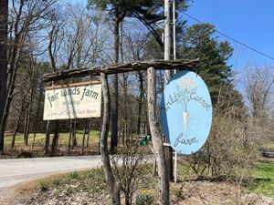  at Wild Carrot Farm in Brattleboro