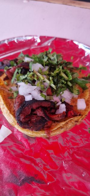  at Deja Vu Taqueria Vegana in Playa Del Carmen