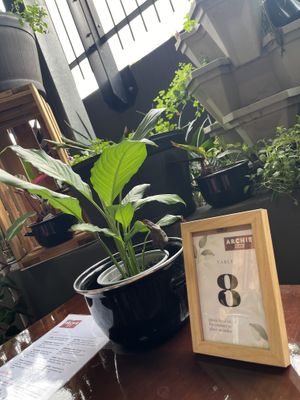 Decor  at Archie AM PM in Carseldine