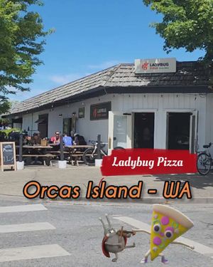  at Ladybug Pizza in Orcas Island