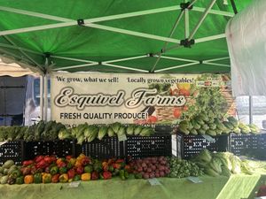 These guys are pesticide-free but not certified organic.   at Certified Farmers Market in Sacramento