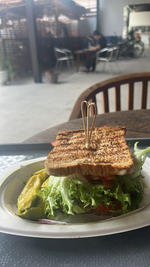   at Plantable - Maybe closed in Chiang Mai