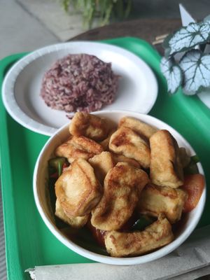  at Plantable - Maybe closed in Chiang Mai