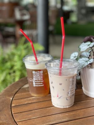 Iced white tea and chocolate walnut soymilk - Plantable, Chiang Mai  at Plantable - Maybe closed in Chiang Mai