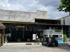 Plantable, Chiang Mai  at Plantable - Maybe closed in Chiang Mai