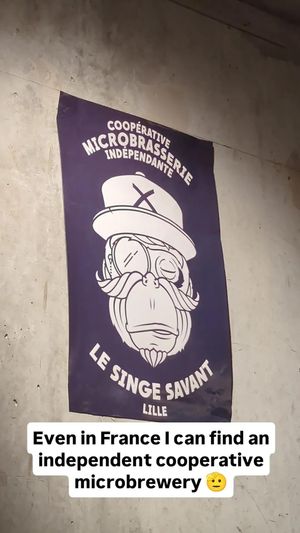  at Brasserie Du Singe Savant in Lille