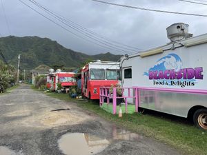 Other food trucks near by, also have vegan options  at Thai Food Truck Express - Punalu'u in Hauula