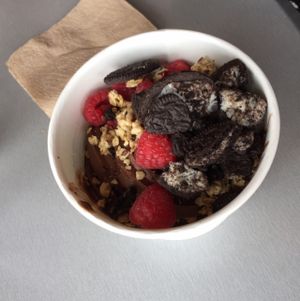 Vegan Frozen Yogurt at Active Culture in Laguna Beach